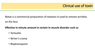 Clinical use of toxin
Botox is a commercial preparation of exotoxin A used to remove wrinkles
on the face
Effective in minute amount in certain in muscle disorder such as
• Torticollis
• Writer’s cramp
• Blepharospasm
 