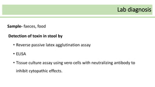 Lab diagnosis
Sample- faeces, food
Detection of toxin in stool by
• Reverse passive latex agglutination assay
• ELISA
• Tissue culture assay using vero cells with neutralizing antibody to
inhibit cytopathic effects.
 