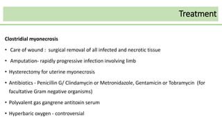 Clostridial myonecrosis
• Care of wound : surgical removal of all infected and necrotic tissue
• Amputation- rapidly progressive infection involving limb
• Hysterectomy for uterine myonecrosis
• Antibiotics - Penicillin G/ Clindamycin or Metronidazole, Gentamicin or Tobramycin (for
facultative Gram negative organisms)
• Polyvalent gas gangrene antitoxin serum
• Hyperbaric oxygen - controversial
Treatment
 