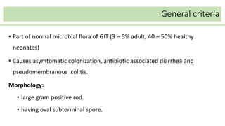 General criteria
• Part of normal microbial flora of GIT (3 – 5% adult, 40 – 50% healthy
neonates)
• Causes asymtomatic colonization, antibiotic associated diarrhea and
pseudomembranous colitis.
Morphology:
• large gram positive rod.
• having oval subterminal spore.
 