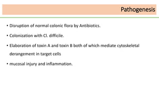 • Disruption of normal colonic flora by Antibiotics.
• Colonization with Cl. difficile.
• Elaboration of toxin A and toxin B both of which mediate cytoskeletal
derangement in target cells
• mucosal injury and inflammation.
Pathogenesis
 