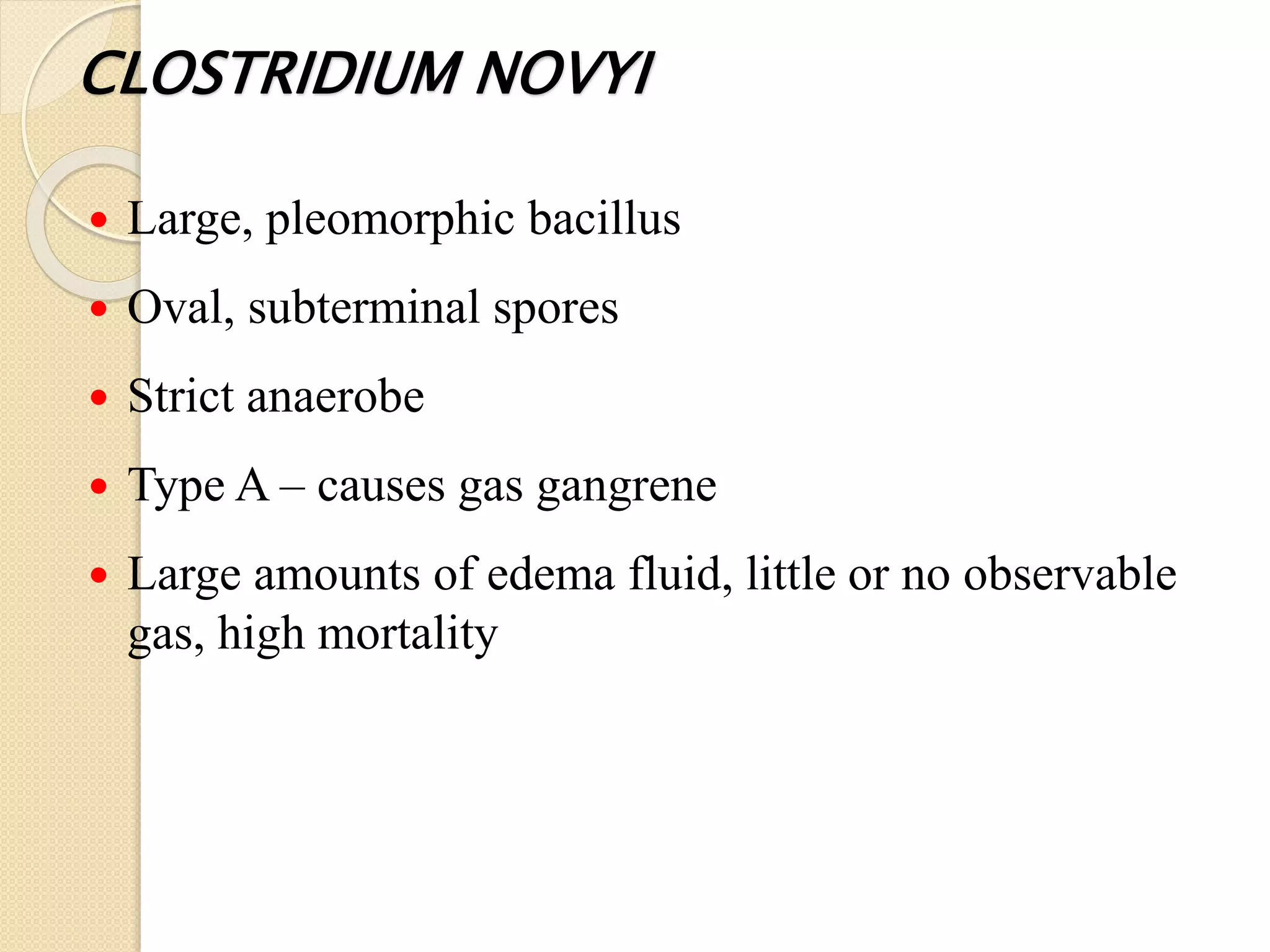 Clostridium | PPTX