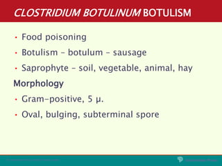 Universities Press
© Universities Press (India) Private Limited
CLOSTRIDIUM BOTULINUM BOTULISM
• Food poisoning
• Botulism...