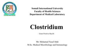 Clostridium
Gram Positive Bacilli
Mr. Mohamed Yusuf Abdi
M.Sc. Medical Microbiology and Immunology
Somali International University
Faculty of Health Sciences
Department of Medical Laboratory
 