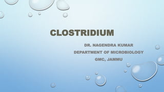CLOSTRIDIUM
DR. NAGENDRA KUMAR
DEPARTMENT OF MICROBIOLOGY
GMC, JAMMU
 