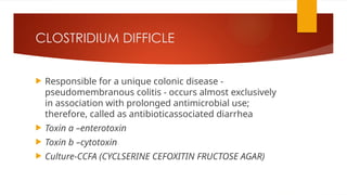 CLOSTRIDIUM DIFFICLE
 Responsible for a unique colonic disease -
pseudomembranous colitis - occurs almost exclusively
in association with prolonged antimicrobial use;
therefore, called as antibioticassociated diarrhea
 Toxin a –enterotoxin
 Toxin b –cytotoxin
 Culture-CCFA (CYCLSERINE CEFOXITIN FRUCTOSE AGAR)
 