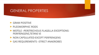 GENERAL PROPERTIES
 GRAM POSITIVE
 PLEOMORPHIC RODS
 MOTILE –PERITRICHOUS FLAGELLA EXCEPTIONS-
PERFRINGENS,TETANI VI
 NON CAPSULATED-EXCEPT PERFRINGENS
 GAS REQUIREMENTS –STRICT ANAEROBES
 
