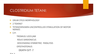 CLOSTRIDIUM TETANI:
 DRUM STICK MORPHOLOGY
 2 TOXINS?
 TETANOSPASMIN-UNCONTROLLED STIMULATION OF MOTOR
NERVES
 C/F-
TRISMUS/ LOCK JAW
RISUS SARDONICUS
DESCENDING SYMMETRIC PARALYSIS
OPISTHOTONUS
DEATH D/T -?
 