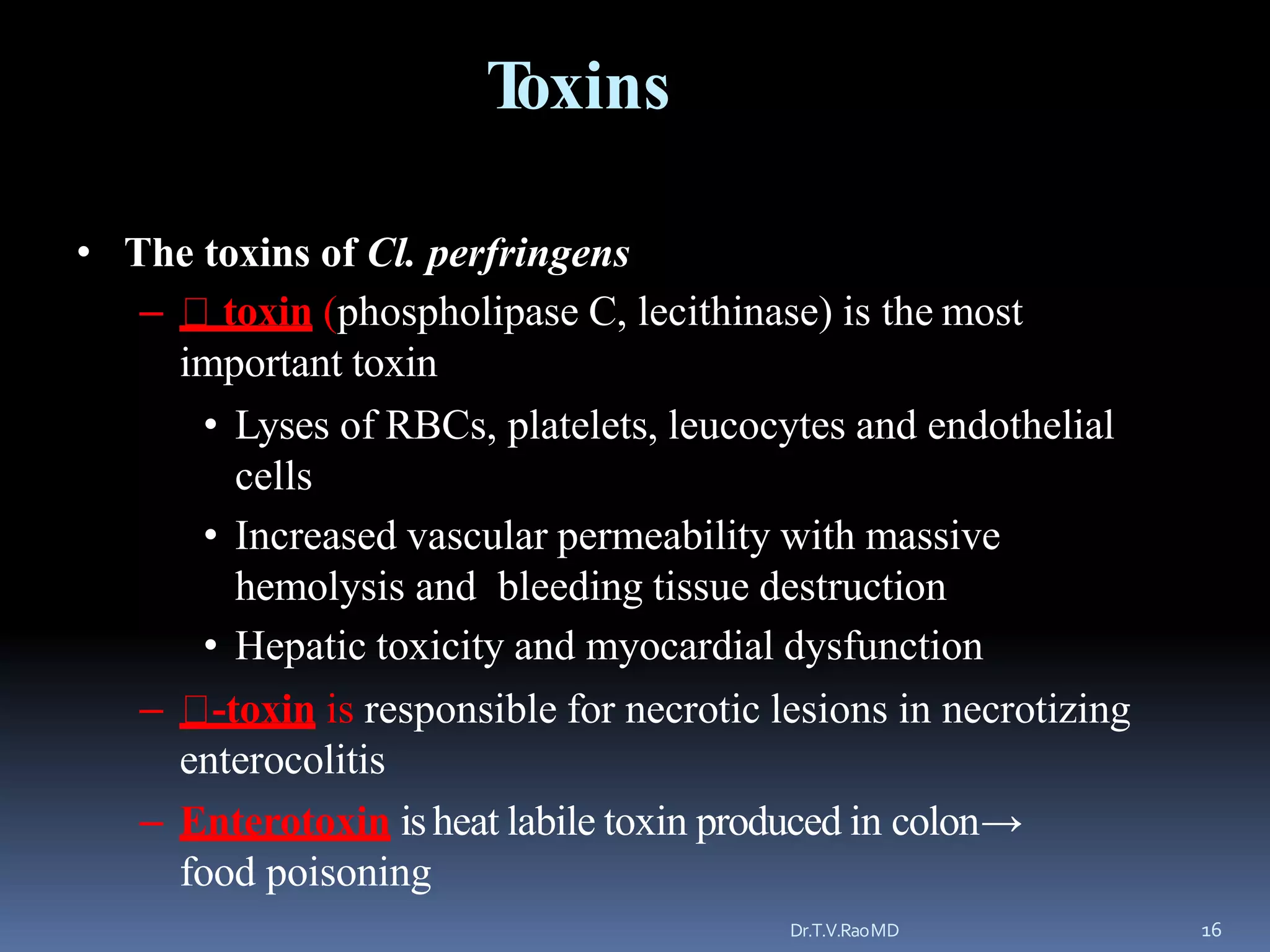Clostridium species | PPTX