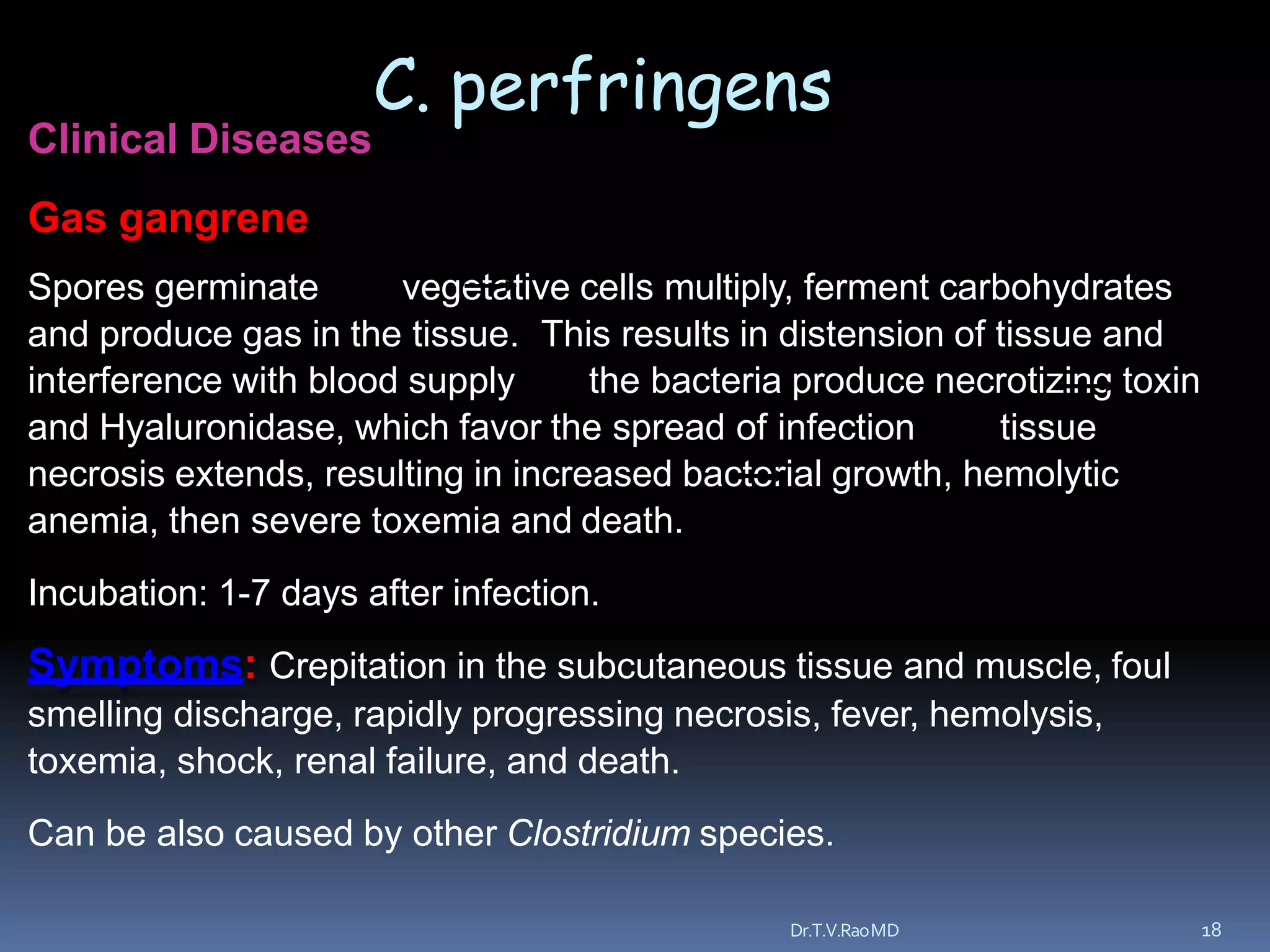 Clostridium species | PPTX