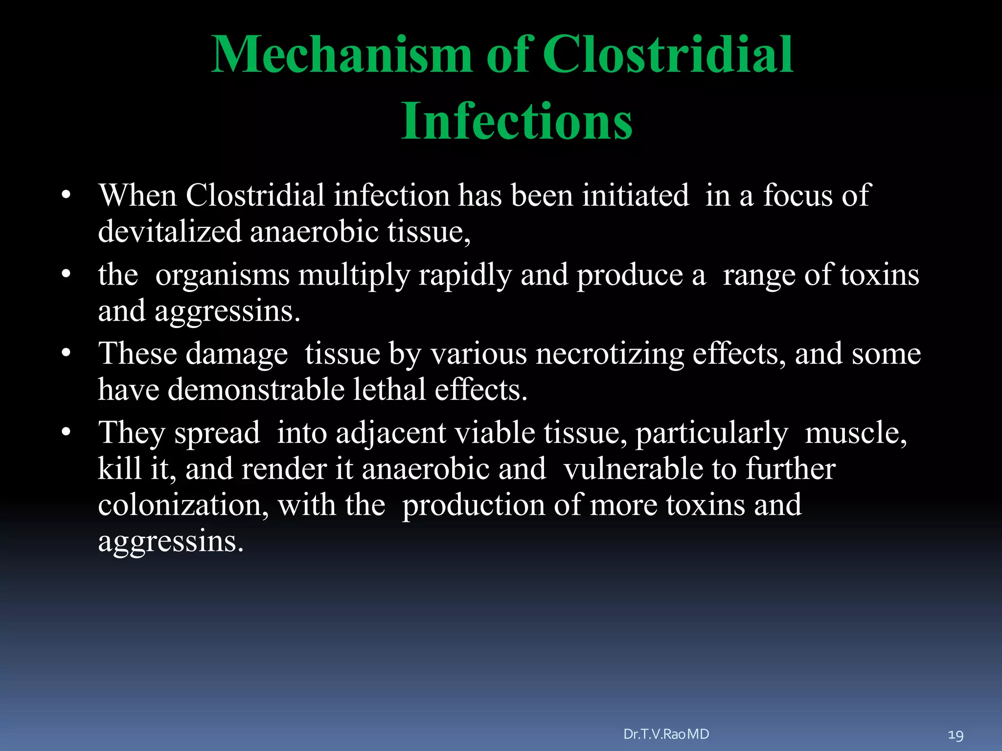 Clostridium species | PPTX