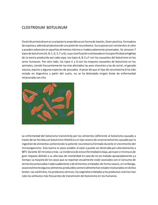 CLOSTRIDIUM BOTULINUM 
Clostridium botulinum es una bacteria anaeróbica con forma de bastón, Gram positiva, formadora 
de esporas y además productora de una potente neurotoxina. Sus esporas son resistentes al calor 
y pueden sobrevivir en aquellos alimentos mínima o inadecuadamente procesados. Se conocen 7 
tipos de botulismo (A, B, C, D, E, F y G), cuya clasificación está basada en la especificidad antigénica 
de la toxina producida por cada cepa. Los tipos A, B, E y F son los causantes del botulismo en los 
seres humanos. Por otro lado, los tipos C y D son los mayores causantes de botulismo en los 
animales, siendo frecuentemente los más afectados las aves silvestres y las de corral , el ganado 
vacuno, equino y algunas especies de pescados. A pesar de que el tipo de neurotoxina G ha sido 
aislada en Argentina a partir del suelo, no se ha detectado ningún brote de enfermedad 
relacionada con ella. 
La enfermedad del botulismo transmitida por los alimentos (diferente al botulismo causado a 
través de las heridas y al botulismo infantil) es un tipo severo de envenenamiento causado por la 
ingestión de alimentos conteniendo la potente neurotoxina formada durante el crecimiento del 
microorganismo. Esta toxina es poco estable al calor y puede ser destruída por calentamiento a 
80°C durante 10 minutos o más. La incidencia de esta enfermedad es baja, pero por si misma es de 
gran impacto debido a su alta tasa de mortalidad en caso de no ser tratada apropiadamente y a 
tiempo. La mayoría de los casos que se reportan anualmente están asociados con el consumo de 
alimentos procesados inadecuadamente o de alimentos enlatados de forma casera; sin embargo, 
ocasionalmente algunos alimentos producidos comercialmente han estado involucrados en dichos 
brotes. Las salchichas, los productos cárnicos, los vegetales enlatados y los productos marinos han 
sido los vehículos más frecuentes de transmisión del botulismo en los humanos. 
 