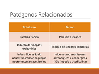 Patógenos Relacionados 
Botulismo 
Tétano 
Paralisia flácida 
Paralisia espástica 
Inibiçãode sinapses excitatórias 
Inibiçãode sinapses inibitórias 
Inibe a liberação do neurotransmissor da junção neuromuscular: acetilcolina 
Inibeneurotransmissores adrenérgicos e colinérgicos (não impede a acetilcolina)  