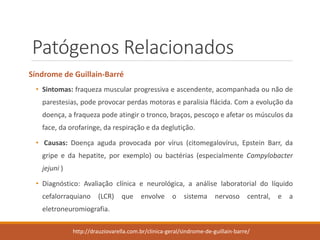 Patógenos Relacionados 
Síndrome de Guillain-Barré 
•Sintomas:fraquezamuscularprogressivaeascendente,acompanhadaounãodeparestesias,podeprovocarperdasmotoraseparalisiaflácida.Comaevoluçãodadoença,afraquezapodeatingirotronco,braços,pescoçoeafetarosmúsculosdaface,daorofaringe,darespiraçãoedadeglutição. 
•Causas:Doençaagudaprovocadaporvírus(citomegalovírus,EpsteinBarr,dagripeedahepatite,porexemplo)oubactérias(especialmenteCampylobacterjejuni) 
•Diagnóstico:Avaliaçãoclínicaeneurológica,aanáliselaboratorialdolíquidocefalorraquiano(LCR)queenvolveosistemanervosocentral,eaeletroneuromiografia. 
http://drauziovarella.com.br/clinica-geral/sindrome-de-guillain-barre/  