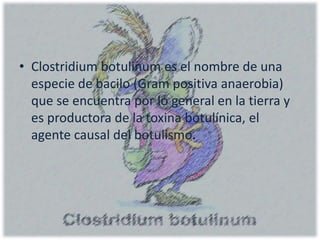 • Clostridium botulinum es el nombre de una
especie de bacilo (Gram positiva anaerobia)
que se encuentra por lo general en la tierra y
es productora de la toxina botulínica, el
agente causal del botulismo.
 