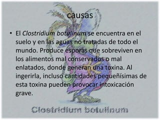 causas
• El Clostridium botulinum se encuentra en el
suelo y en las aguas no tratadas de todo el
mundo. Produce esporas que sobreviven en
los alimentos mal conservados o mal
enlatados, donde generan una toxina. Al
ingerirla, incluso cantidades pequeñísimas de
esta toxina pueden provocar intoxicación
grave.
 