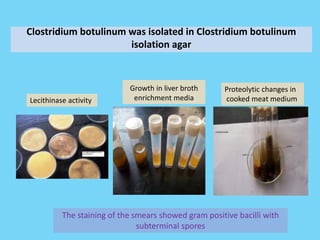 Clostridium botulinum ppt | PPTX