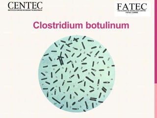 Clostridium botulinum
 