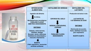INTOXICACION
ALIMENTARIA
BOTULISMO DE HERIDAS BOTULISMO DEL
LACTANTE
Ingestión del alimento
18- 36 hrs
Manifestaciones neurológicas
PARALISIS FLACIDA
SIMETRICA DESCENDENTE
SINTOMAS
Diplopía, visión borrosa,
fotofobia, disfagia
Mucosas secas y dolorosas
Debilidad de extremidades y
músculos respiratorios
MUERTE
(Fallo respiratorio, neumonías
arritmias cardiacas)
ESPOROS DEL SUELO
HERIDAS, CORTADURAS,
LESIONES
PARALISIS FLACIDA
DESCENDENTE
Producción de toxina in situ
LACTANTES DE
3-20 SEMANAS DE EDAD
SINTOMAS
Disminución de succión,
llanto, debilidad muscular,
paro respiratorio
MUERTE SUBITA
 