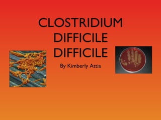 CLOSTRIDIUM DIFFICILE DIFFICILE ,[object Object]