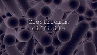 Clostridium
difficile
 