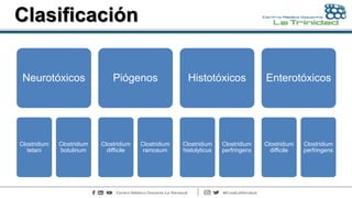 Clasificación
Neurotóxicos
Clostridium
tetani
Clostridium
botulinum
Piógenos
Clostridium
difficile
Clostridium
ramosum
Histotóxicos
Clostridium
histolyticus
Clostridium
perfringens
Enterotóxicos
Clostridium
difficile
Clostridium
perfringens
 
