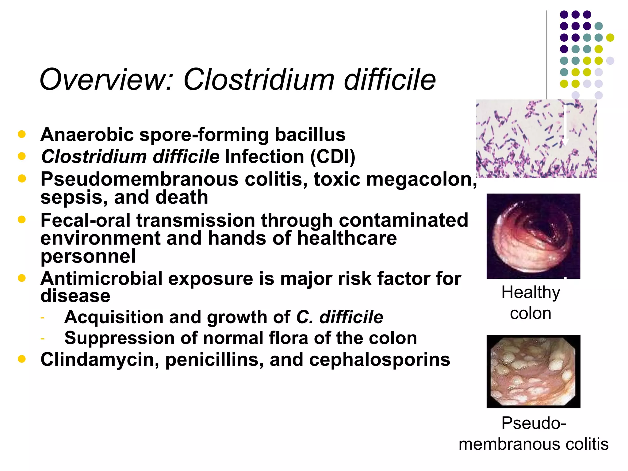 Clostridium difficile 2010 | PPT