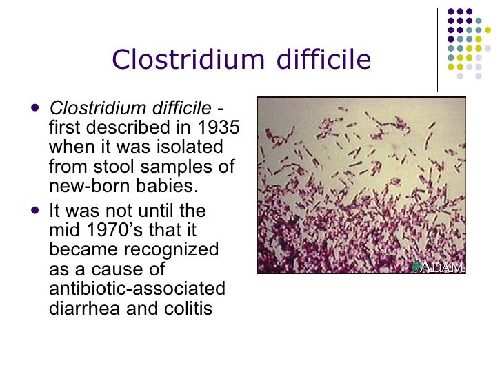 Can Antibiotic Cause Diarrhea In Dogs Can Antibiotic Cause Diarrhea In Dogs