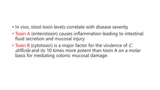 • In vivo, stool toxin levels correlate with disease severity
• Toxin A (enterotoxin) causes inflammation leading to intestinal
fluid secretion and mucosal injury
• Toxin B (cytotoxin) is a major factor for the virulence of C.
difficile and its 10 times more potent than toxin A on a molar
basis for mediating colonic mucosal damage.
 
