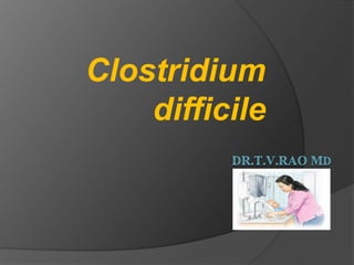 Clostridium 
difficile 
 