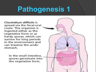 Pathogenesis 1 
 