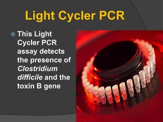 Light Cycler PCR 
 This Light 
Cycler PCR 
assay detects 
the presence of 
Clostridium 
difficile and the 
toxin B gene 
 