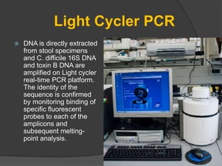 Light Cycler PCR 
 DNA is directly extracted 
from stool specimens 
and C. difficile 16S DNA 
and toxin B DNA are 
amplified on Light cycler 
real-time PCR platform. 
The identity of the 
sequence is confirmed 
by monitoring binding of 
specific fluorescent 
probes to each of the 
amplicons and 
subsequent melting-point 
analysis. 
 