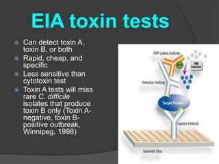 EIA toxin tests 
 Can detect toxin A, 
toxin B, or both 
 Rapid, cheap, and 
specific 
 Less sensitive than 
cytotoxin test 
 Toxin A tests will miss 
rare C. difficile 
isolates that produce 
toxin B only (Toxin A-negative, 
toxin B-positive 
outbreak, 
Winnipeg, 1998) 
 
