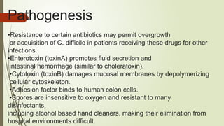 Pathogenesis
•Resistance to certain antibiotics may permit overgrowth
or acquisition of C. difficile in patients receiving these drugs for other
infections.
•Enterotoxin (toxinA) promotes fluid secretion and
intestinal hemorrhage (similar to choleratoxin).
•Cytotoxin (toxinB) damages mucosal membranes by depolymerizing
cellular cytoskeleton.
•Adhesion factor binds to human colon cells.
•Spores are insensitive to oxygen and resistant to many
disinfectants,
including alcohol based hand cleaners, making their elimination from
hospital environments difficult.
 