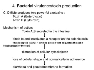 Clostridium difficle infection.ppt...... | PPT