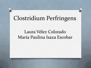Clostridium Perfringens
Laura Vélez Colorado
María Paulina Isaza Escobar
 