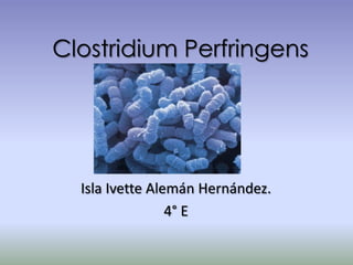 Clostridium Perfringens
Isla Ivette Alemán Hernández.
4° E
 