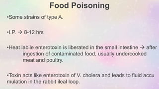 Food Poisoning
•Some strains of type A.
•I.P.  8-12 hrs
•Heat labile enterotoxin is liberated in the small intestine  after
ingestion of contaminated food, usually undercooked
meat and poultry.
•Toxin acts like enterotoxin of V. cholera and leads to fluid accu
mulation in the rabbit ileal loop.
 