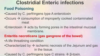 Clostridial Enteric infections
Food Poisoning
•Caused by C. perfringens type A enterotoxin
•Occurs  consumption of improperly cooked contaminated
meat
•Enterotoxin  acts by forming pores in the intestinal mucosal
membrane.
Enteritis necroticans (gas gangrene of the bowel)
•A life threatining condition
•Characterized by  ischemic necrosis of the Jejunum and gas
in the tissue.
•Caused by C. perfringens type C strains  β-toxin.
 