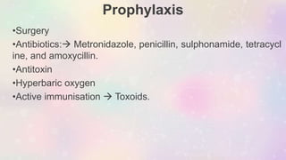 Prophylaxis
•Surgery
•Antibiotics: Metronidazole, penicillin, sulphonamide, tetracycl
ine, and amoxycillin.
•Antitoxin
•Hyperbaric oxygen
•Active immunisation  Toxoids.
 