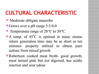 CULTURAL CHARACTERISTIC
 Moderate obligate anaerobe
 Grows over a pH range 5.5-8.0
 Temperature range of 20 ºC to 50ºC.
 A temp. of 45˚C is optimal in many strains
where generation time may be as short as ten
minutes- property utilised to obtain pure
culture from mixed growth
 Robertson cooked meat broth- good growth,
meat turned pink but not digested, has acidic
reaction and sour odour
 