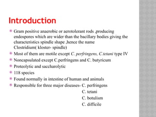 Introduction
 Gram positive anaerobic or aerotolerant rods ,producing
endospores which are wider than the bacillary bodies giving the
characteristics spindle shape ,hence the name
Clostridium( kloster- spindle)
 Most of them are motile except C. perfringens, C.tetani type IV
 Noncapsulated except C.perfringens and C. butyricum
 Proteolytic and saccharolytic
 118 species
 Found normally in intestine of human and animals
 Responsible for three major diseases- C. perfringens
C. tetani
C. botulism
C. difficile
 