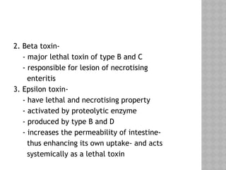 2. Beta toxin-
- major lethal toxin of type B and C
- responsible for lesion of necrotising
enteritis
3. Epsilon toxin-
- have lethal and necrotising property
- activated by proteolytic enzyme
- produced by type B and D
- increases the permeability of intestine-
thus enhancing its own uptake- and acts
systemically as a lethal toxin
 