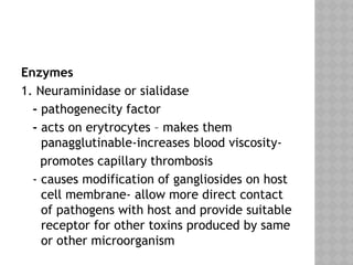 Enzymes
1. Neuraminidase or sialidase
- pathogenecity factor
- acts on erytrocytes – makes them
panagglutinable-increases blood viscosity-
promotes capillary thrombosis
- causes modification of gangliosides on host
cell membrane- allow more direct contact
of pathogens with host and provide suitable
receptor for other toxins produced by same
or other microorganism
 