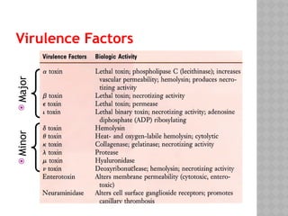 Virulence Factors

Major

Minor
 