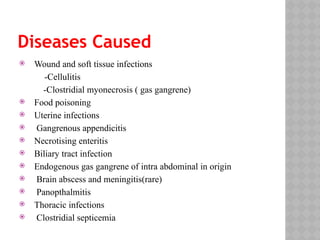 Diseases Caused
 Wound and soft tissue infections
-Cellulitis
-Clostridial myonecrosis ( gas gangrene)
 Food poisoning
 Uterine infections
 Gangrenous appendicitis
 Necrotising enteritis
 Biliary tract infection
 Endogenous gas gangrene of intra abdominal in origin
 Brain abscess and meningitis(rare)
 Panopthalmitis
 Thoracic infections
 Clostridial septicemia
 