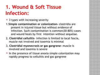 1. Wound & Soft Tissue
Infection:
 3 types with increasing severity
1.Simple contamination or colonization- clostridia are
present in injured tissue but without evidence of
infection. Such contamination is common(30-80%) cases
and wound heals by first intention without sequelae.
2. Clostridial cellulitis- infection is limited to local fascia,
muscle not involved and toxemia is minimal
3. Clostridial myonecrosis or gas gangrene- muscle is
involved and toxemia is severe
 In the presence of tissue anoxia simple colonization may
rapidly progress to cellulitis and gas gangrene
 