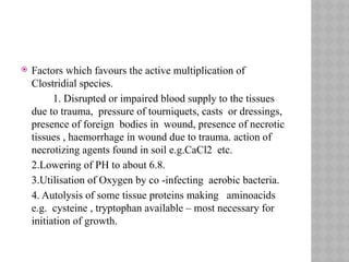  Factors which favours the active multiplication of
Clostridial species.
1. Disrupted or impaired blood supply to the tissues
due to trauma, pressure of tourniquets, casts or dressings,
presence of foreign bodies in wound, presence of necrotic
tissues , haemorrhage in wound due to trauma. action of
necrotizing agents found in soil e.g.CaCl2 etc.
2.Lowering of PH to about 6.8.
3.Utilisation of Oxygen by co -infecting aerobic bacteria.
4. Autolysis of some tissue proteins making aminoacids
e.g. cysteine , tryptophan available – most necessary for
initiation of growth.
 