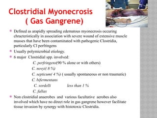 Clostridial Myonecrosis
( Gas Gangrene)
 Defined as arapidly spreading edematous myonecrosis occuring
chracteristically in association with severe wound of extensive muscle
masses that have been contaminated with pathogenic Clostridia,
particularly Cl perfringens
 Usually polymicrobial etiology.
 6 major Clostridial spp. involved:
C. perfringens(90 % alone or with others)
C. novyi( 8 %)
C. septicum( 4 %) ( usually spontaneous or non traumatic)
C. bifermentans
C. sordelli less than 1 %
C. fallax
 Non clostridial anaerobes and various facultative aerobes also
involved which have no direct role in gas gangrene however facilitate
tissue invasion by synergy with histotoxic Clostridia.
 